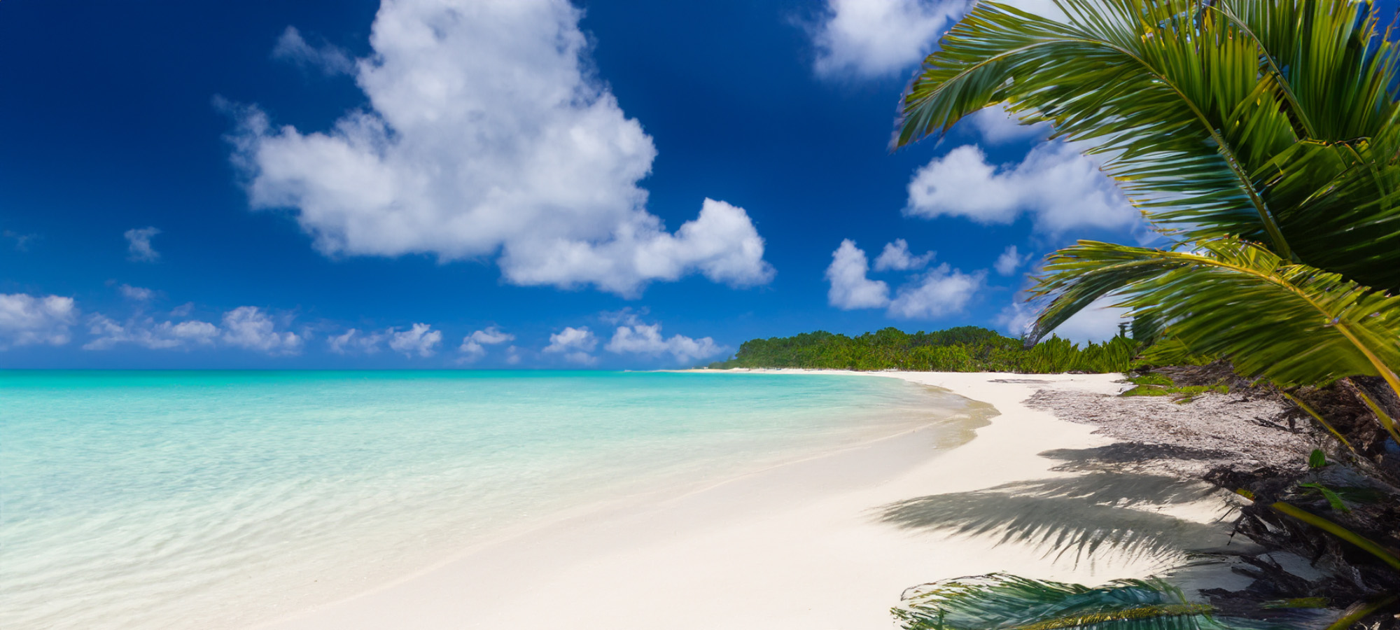 Fernreisen im Winter