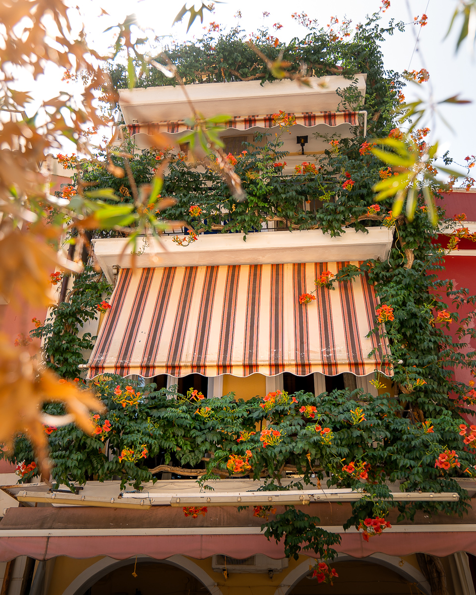 Blütenreiche Fassade in der Einkaufsmeile von Zakynthos Stadt