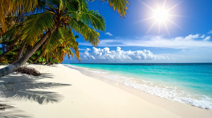 Sonniger weißer Sandstrand mit Palmen