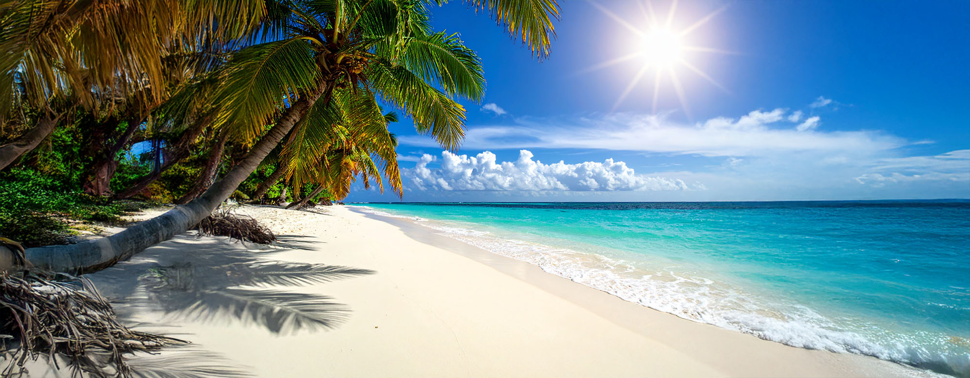 Sonniger weißer Sandstrand mit Palmen