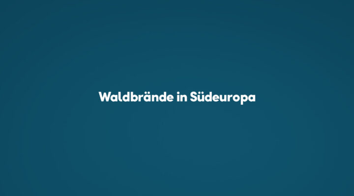 Waldbrände in Südeuropa: Was das für euren Urlaub bedeutet Waldbrände in Südeuropa